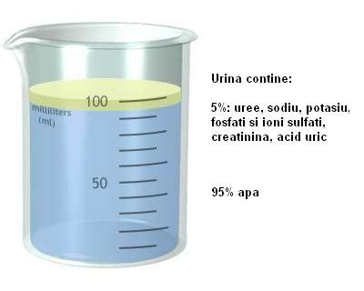 cantitate mica de urina|Analiza urinei (analiza caracterelor fizice si chimice。